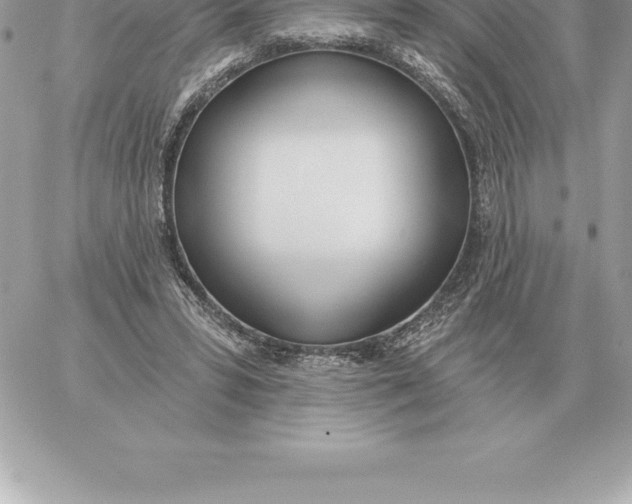 X0000060270399200511112052