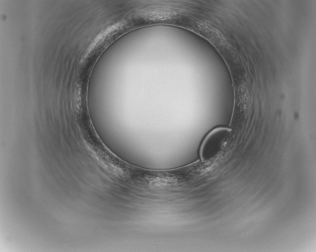 X0000060270400200511112052