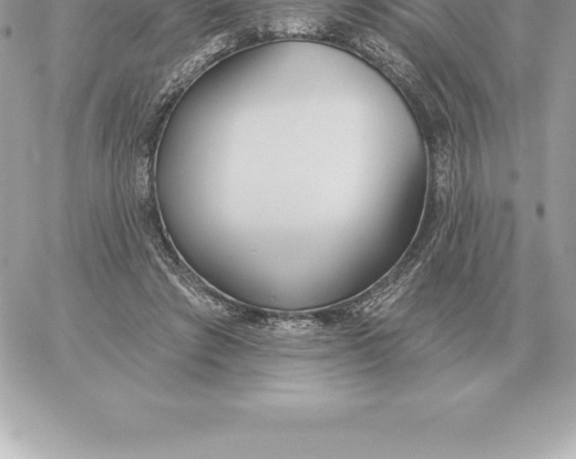 X0000060270401200511112052