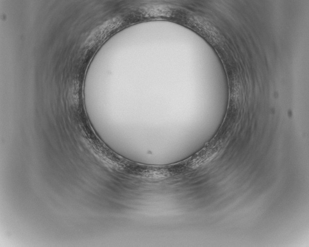 X0000060270402200511112052