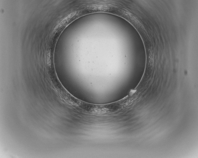 X0000060270403200511112052