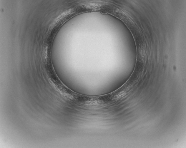 X0000060270404200511112052