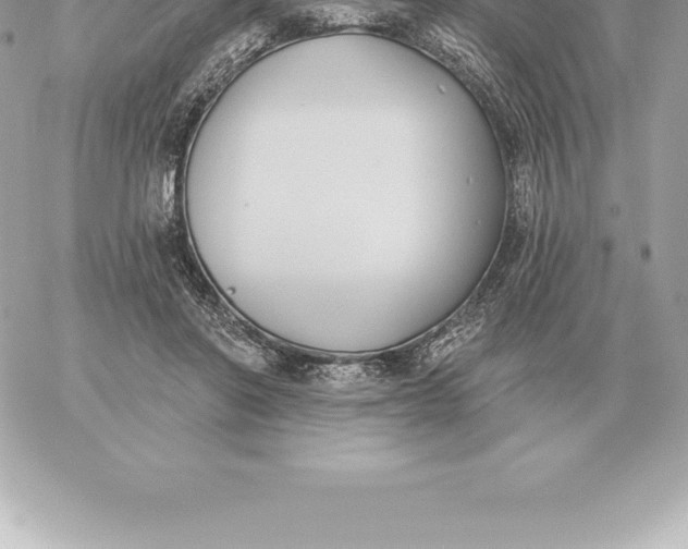 X0000060270406200511112052