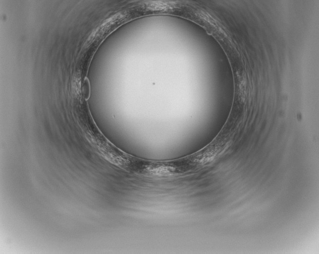 X0000060270407200511112052