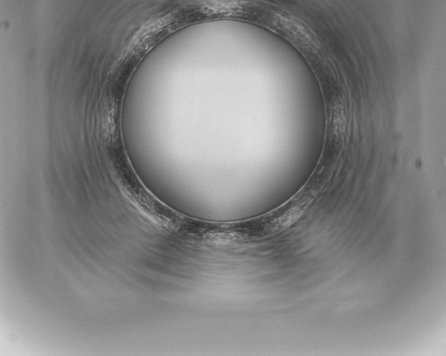 X0000060270408200511112052