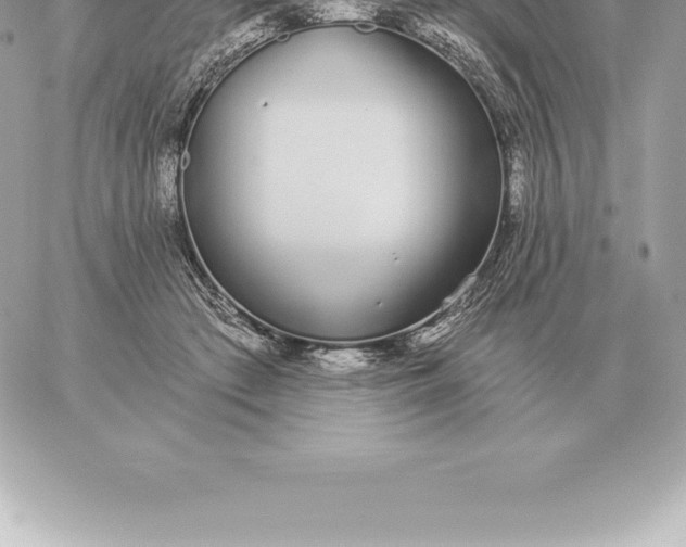 X0000060270409200511112052