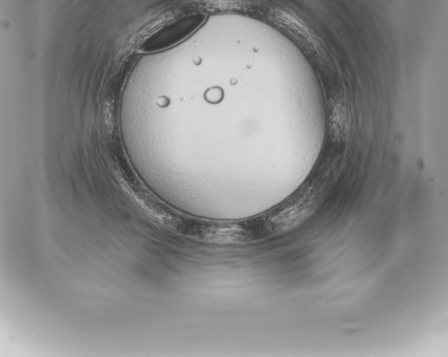 X0000060270410200511112052