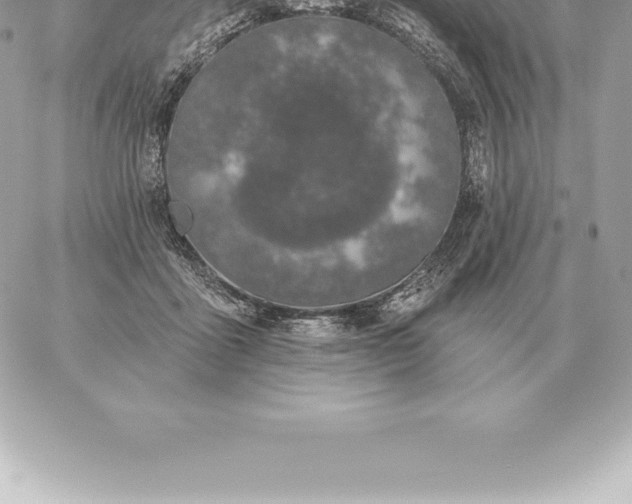 X0000060270411200511112052