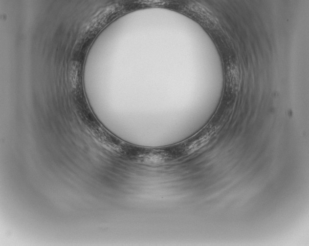 X0000060270412200511112052