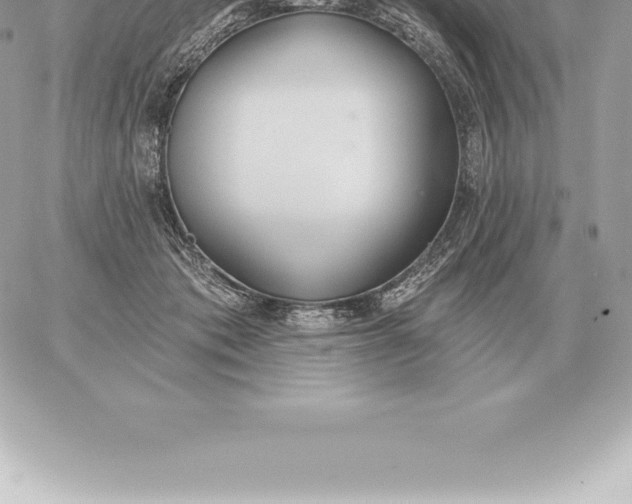 X0000060270413200511112052