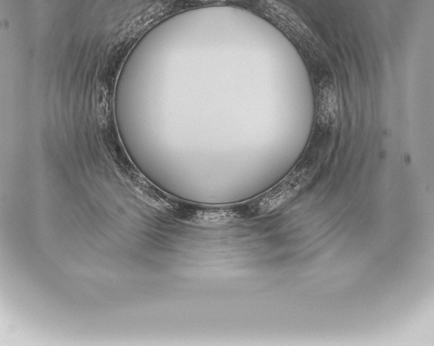 X0000060270414200511112052