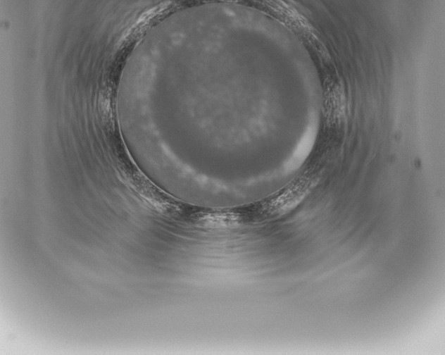 X0000060270415200511112052