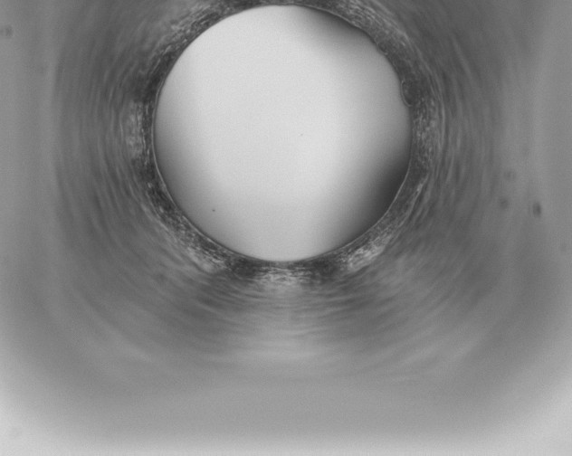 X0000060270416200511112052