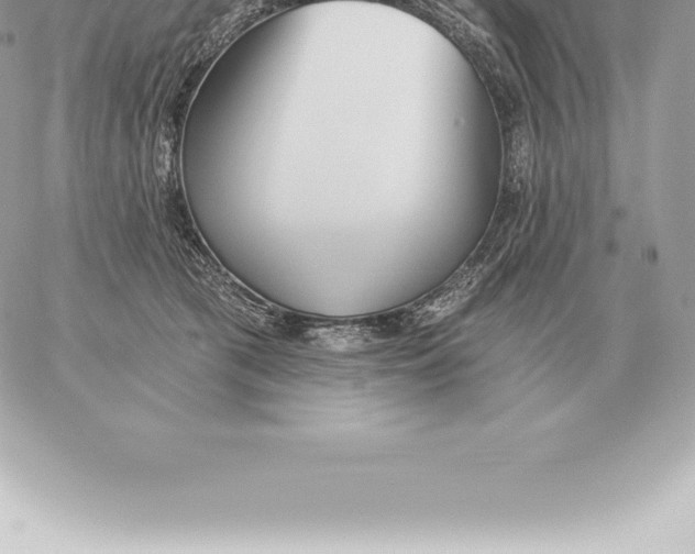 X0000060270417200511112052