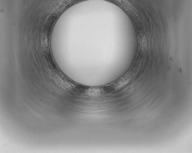 X0000060270418200511112052