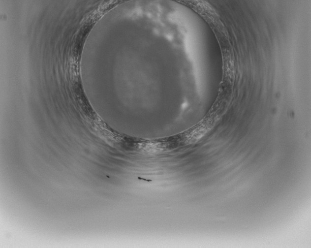 X0000060270419200511112052