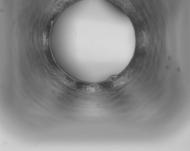 X0000060270420200511112052