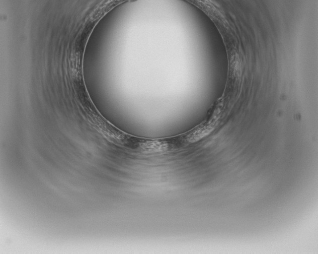 X0000060270421200511112052