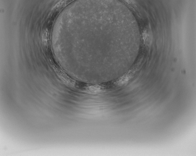 X0000060270423200511112052