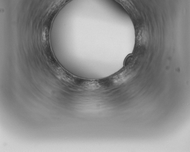 X0000060270424200511112052