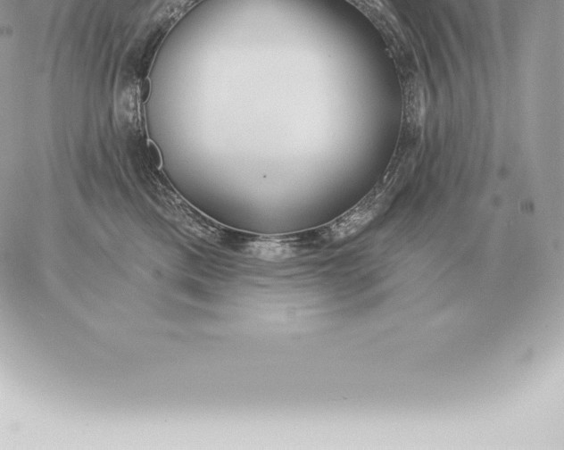 X0000060270425200511112052