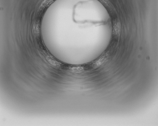 X0000060270426200511112052