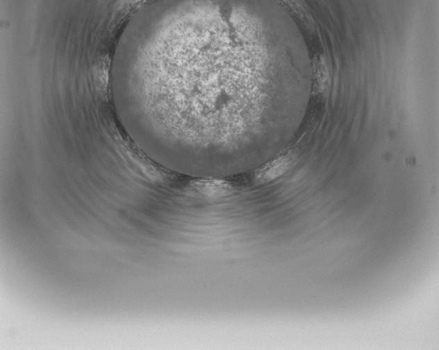 X0000060270427200511112052