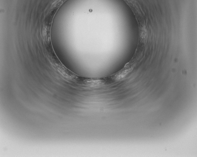 X0000060270428200511112052