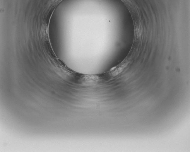 X0000060270429200511112052