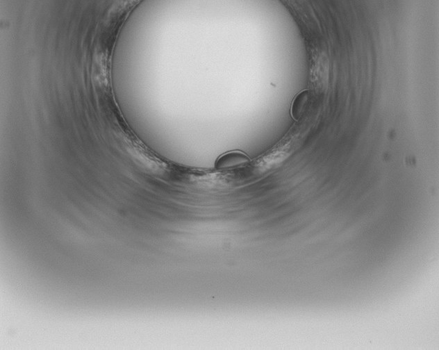 X0000060270430200511112052