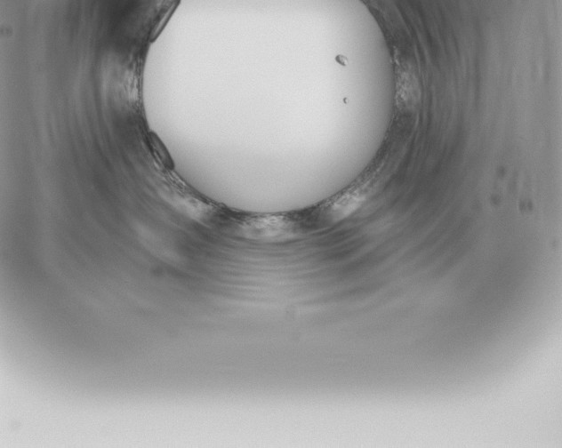 X0000060270431200511112052