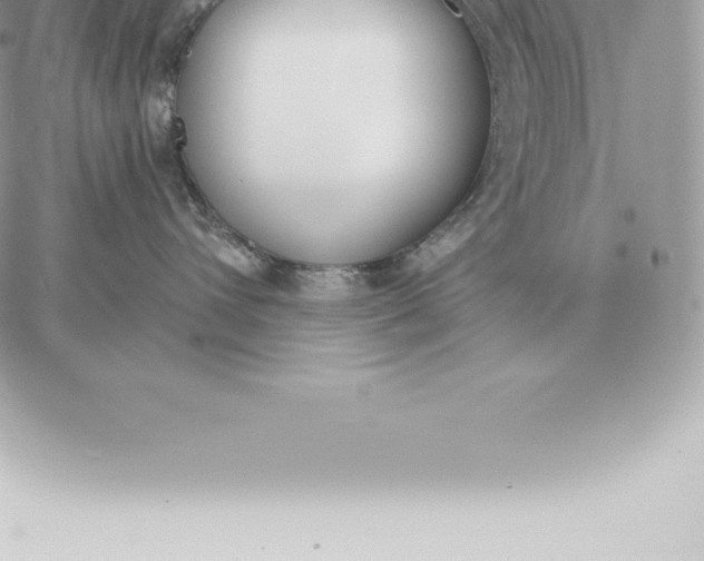 X0000060270432200511112052