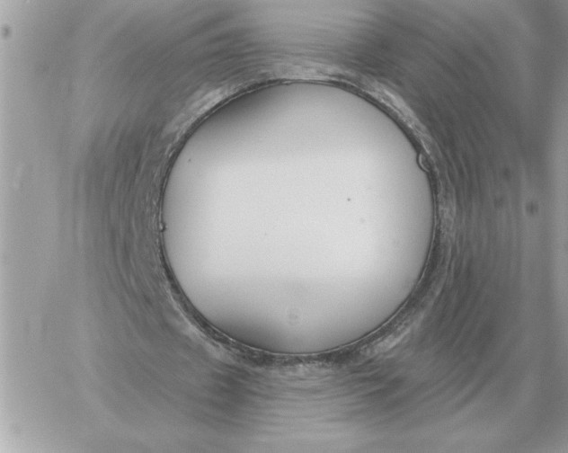 X0000060270433200511112051