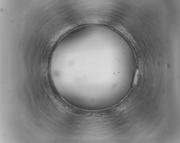 X0000060270434200511112051