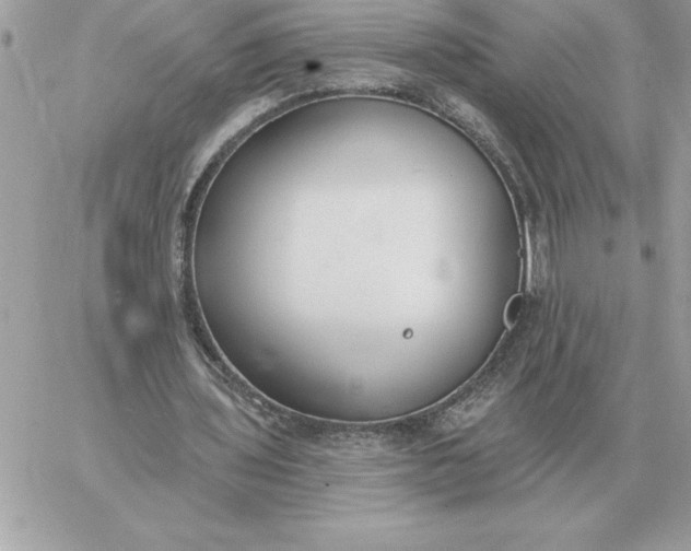 X0000060270435200511112051