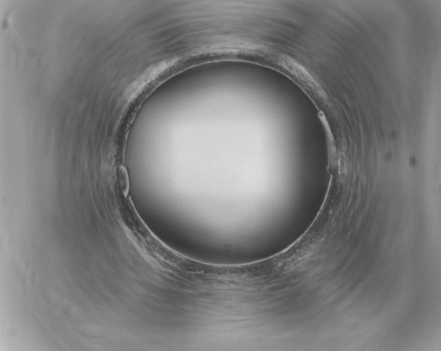 X0000060270436200511112051