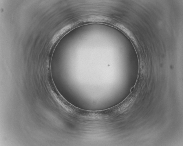 X0000060270437200511112051