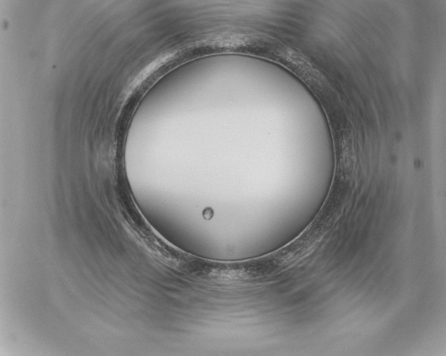 X0000060270440200511112051