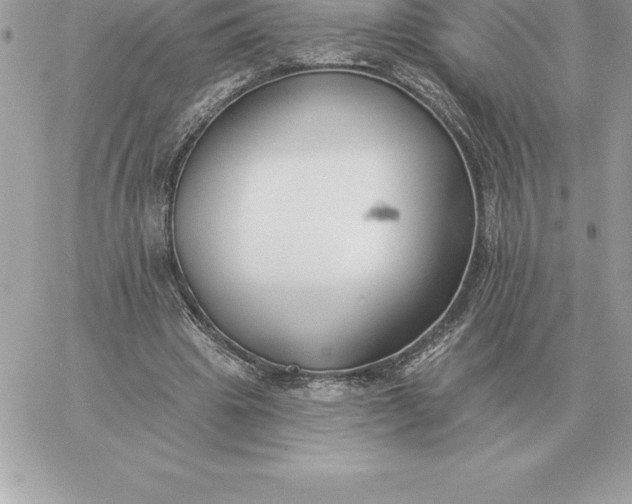 X0000060270441200511112051