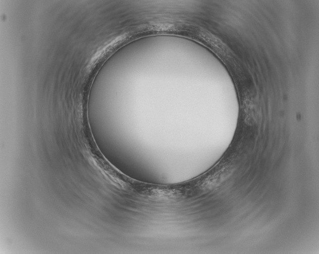 X0000060270442200511112051