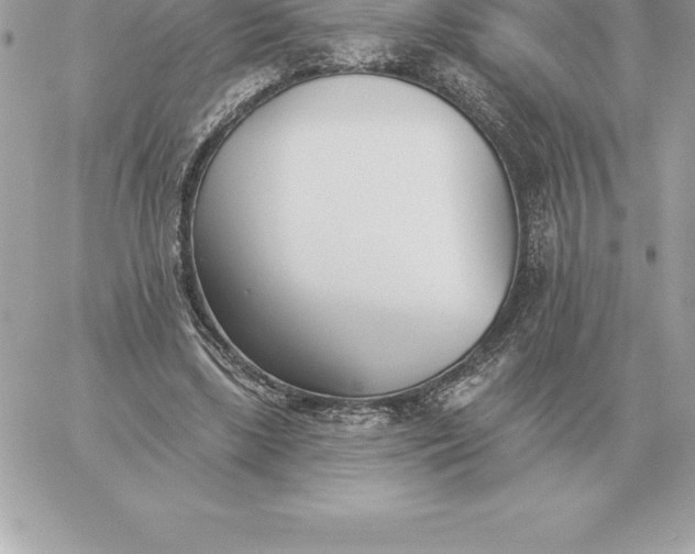 X0000060270443200511112051