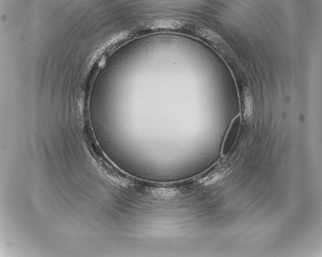 X0000060270444200511112051