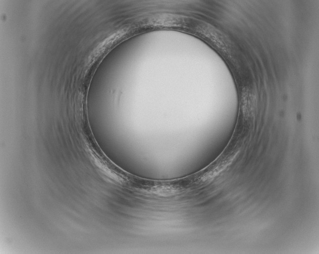 X0000060270445200511112051