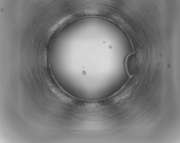 X0000060270446200511112051