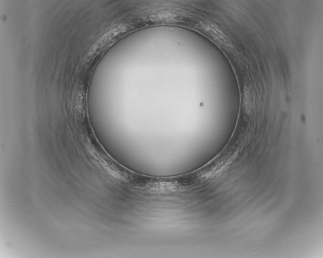 X0000060270449200511112051