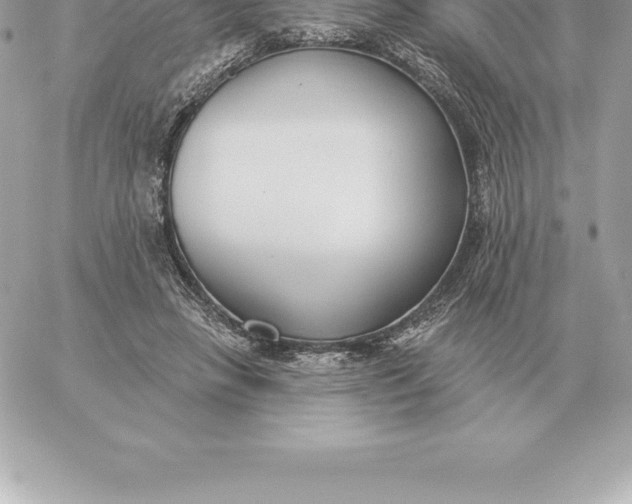 X0000060270450200511112051