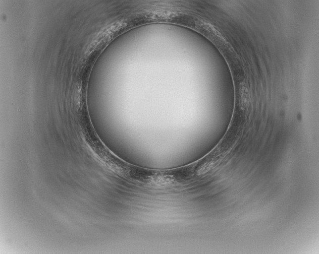 X0000060270451200511112051