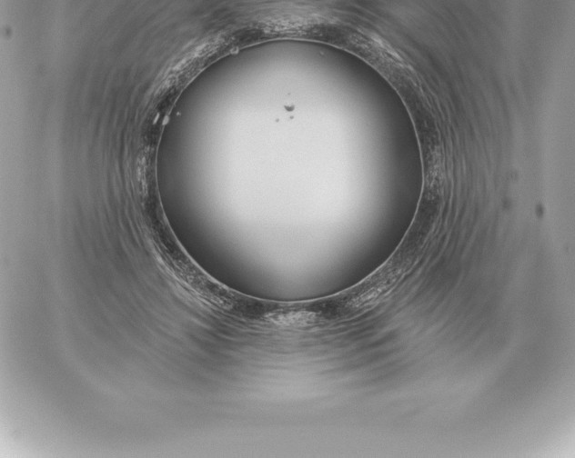 X0000060270452200511112051