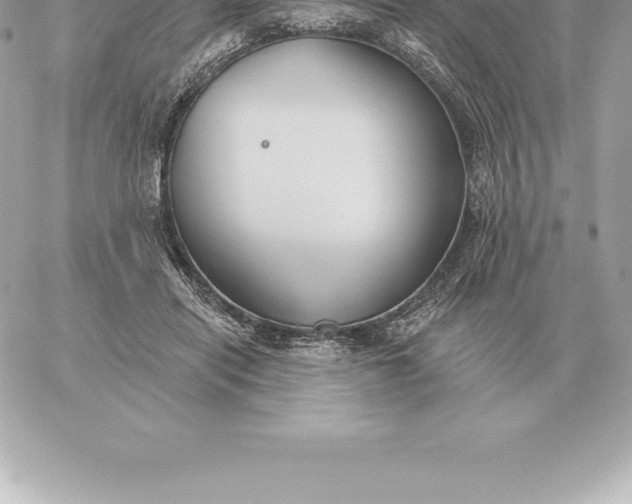 X0000060270454200511112051