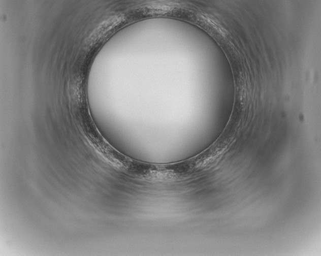 X0000060270455200511112051